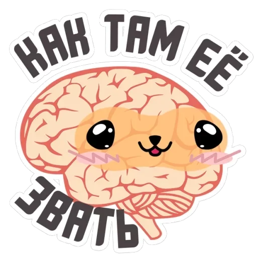 🔥Brains — 43