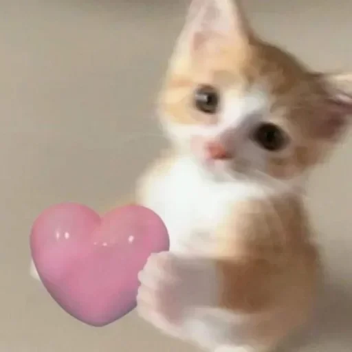 CAAAAAATS — 1