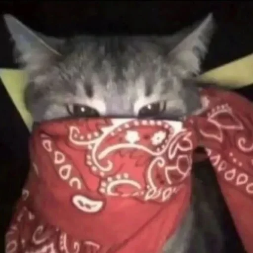CAAAAAATS — 2