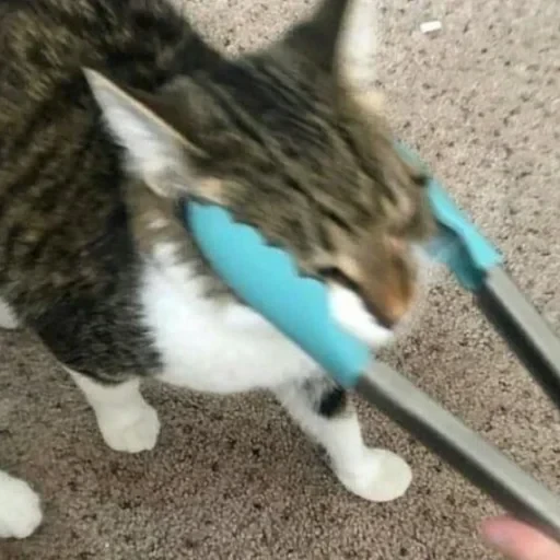 CAAAAAATS — 17