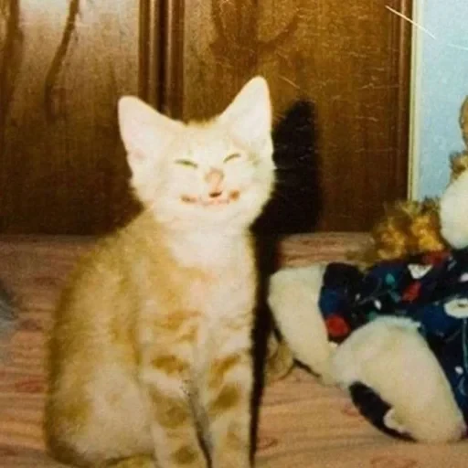 CAAAAAATS — 18