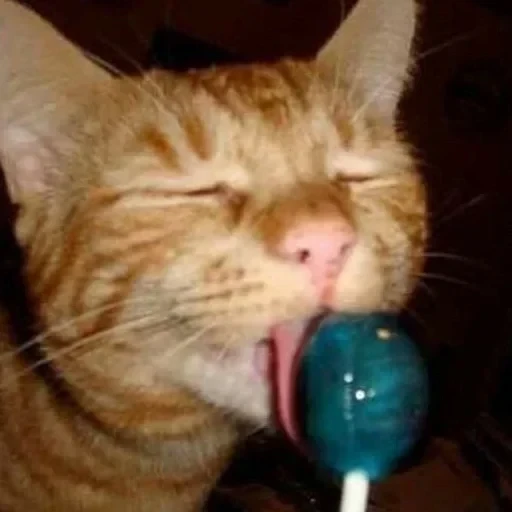 CAAAAAATS — 19