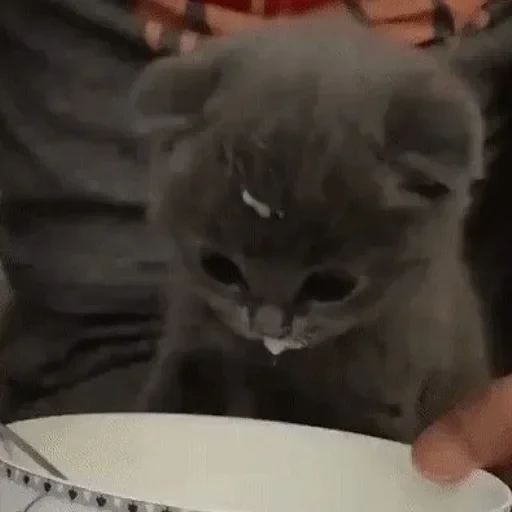 CAAAAAATS — 3