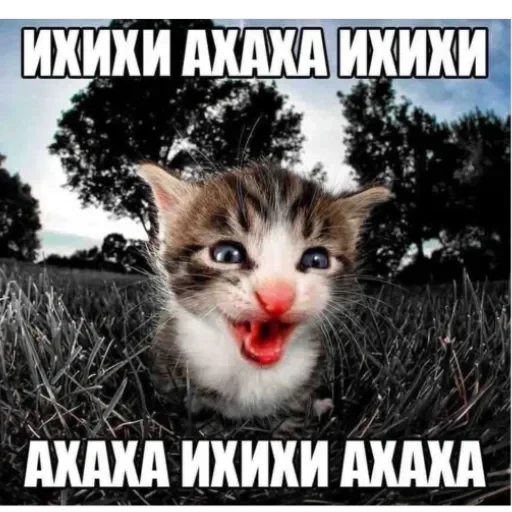 CAAAAAATS — 26