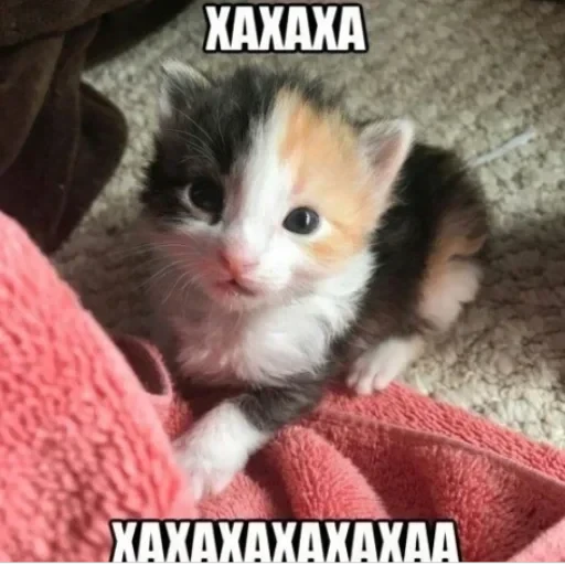 CAAAAAATS — 27