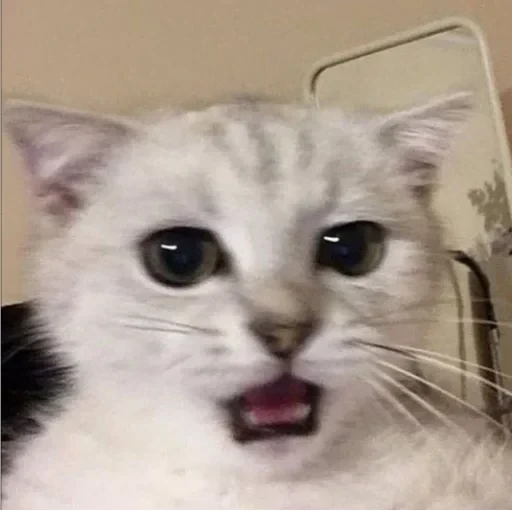 CAAAAAATS — 29