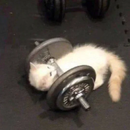 CAAAAAATS — 34