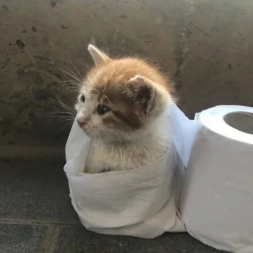 CAAAAAATS — 35