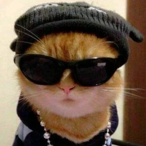 CAAAAAATS — 36