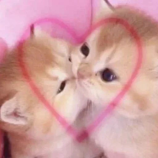CAAAAAATS — 37