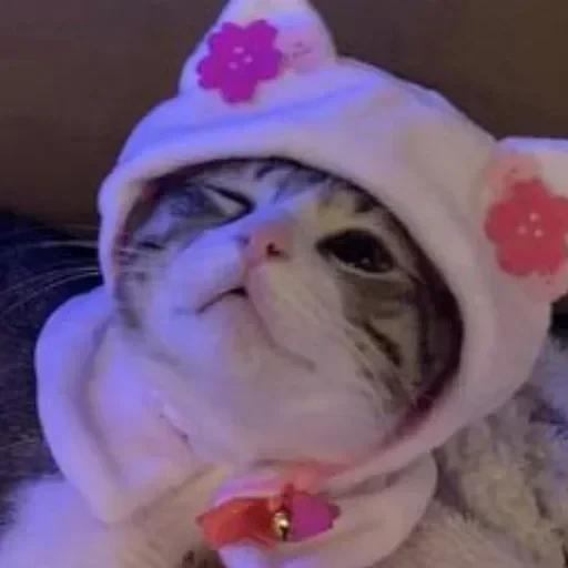 CAAAAAATS — 39