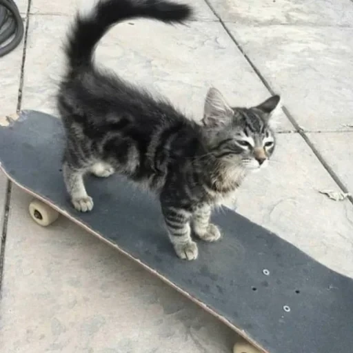 CAAAAAATS — 40
