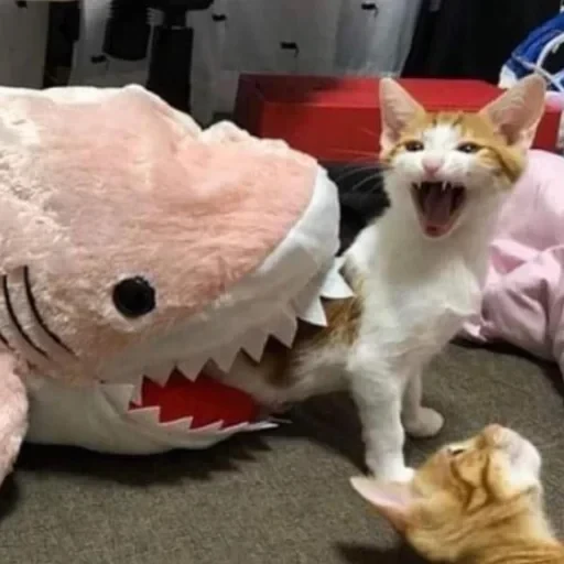 CAAAAAATS — 46