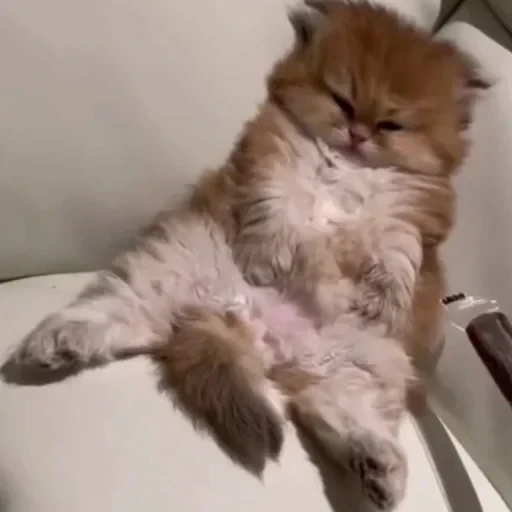 CAAAAAATS — 47