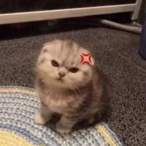 CAAAAAATS — 57