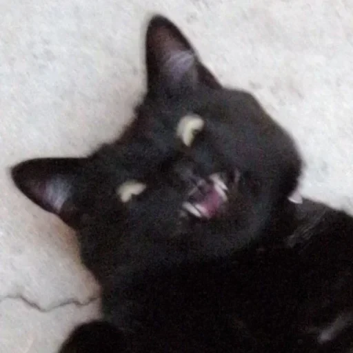 CAAAAAATS — 58
