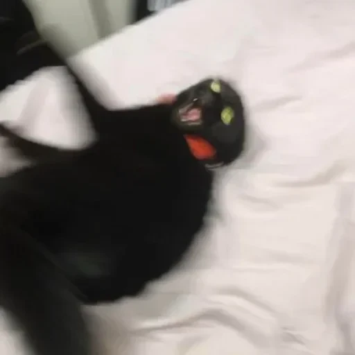 CAAAAAATS — 60