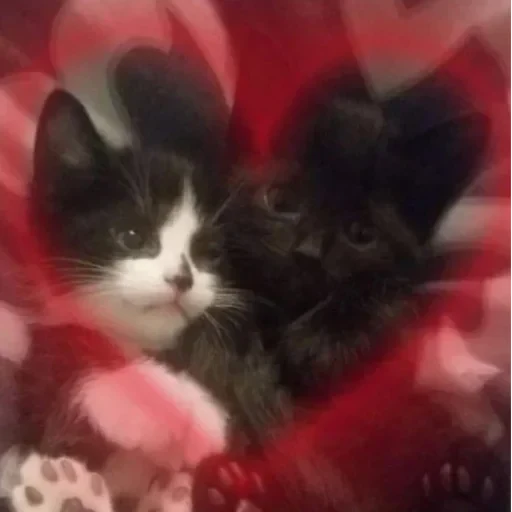 CAAAAAATS — 9