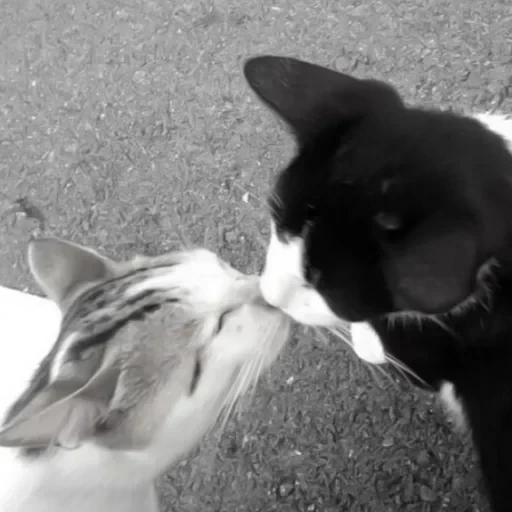 CAAAAAATS — 10