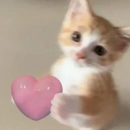 CAAAAAATS