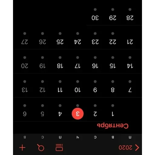 Calendar — 19