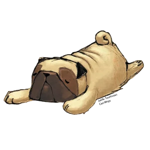 CarlMops — 1