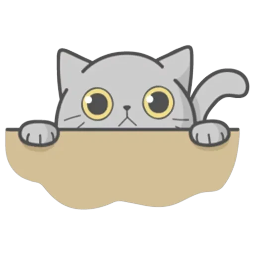 Cat Fullmoon — 1