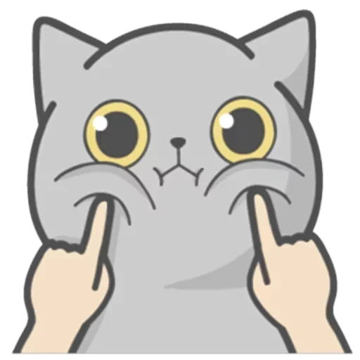 Cat Fullmoon — 2