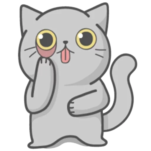 Cat Fullmoon — 13