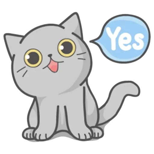 Cat Fullmoon — 16
