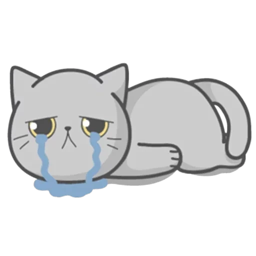 Cat Fullmoon — 24