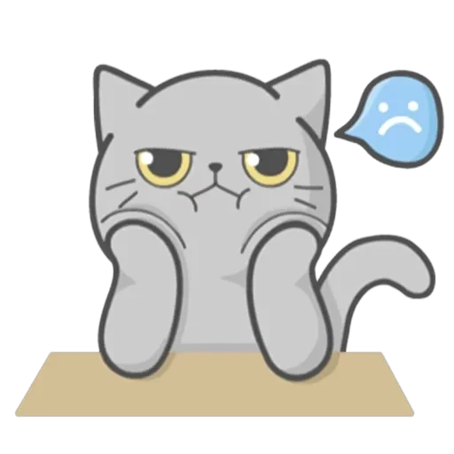Cat Fullmoon — 25