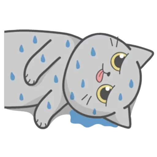 Cat Fullmoon — 26