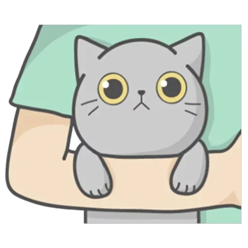 Cat Fullmoon — 31