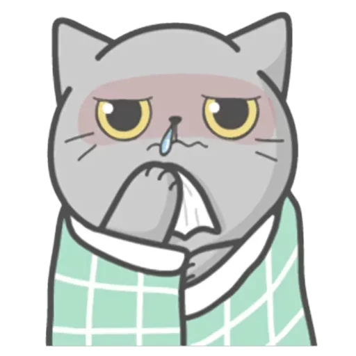 Cat Fullmoon — 34