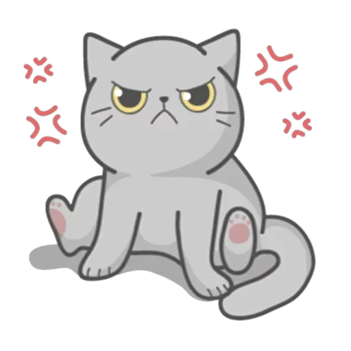 Cat Fullmoon — 5