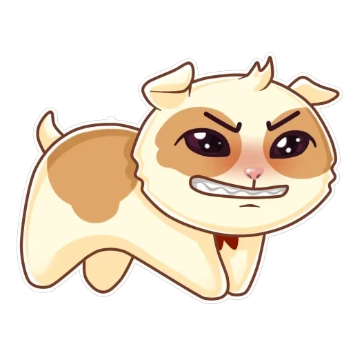 Cavy — 11
