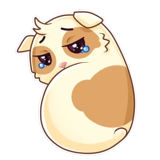 Cavy — 7