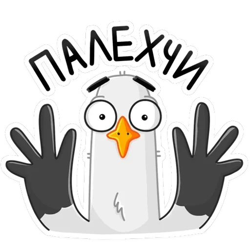 Чайка Сэм — 30