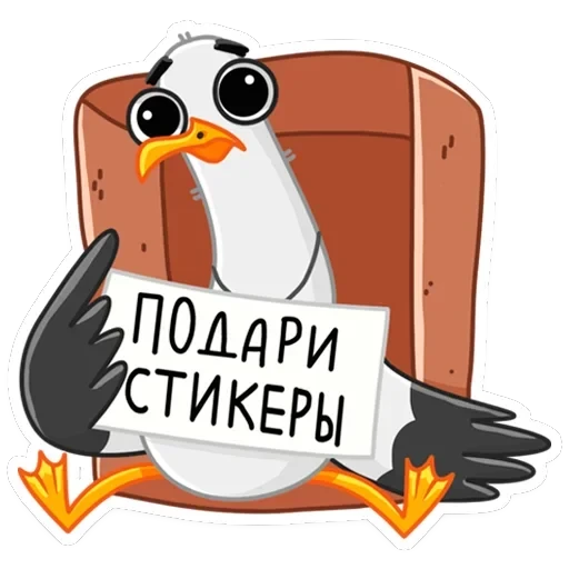Чайка Сэм — 34