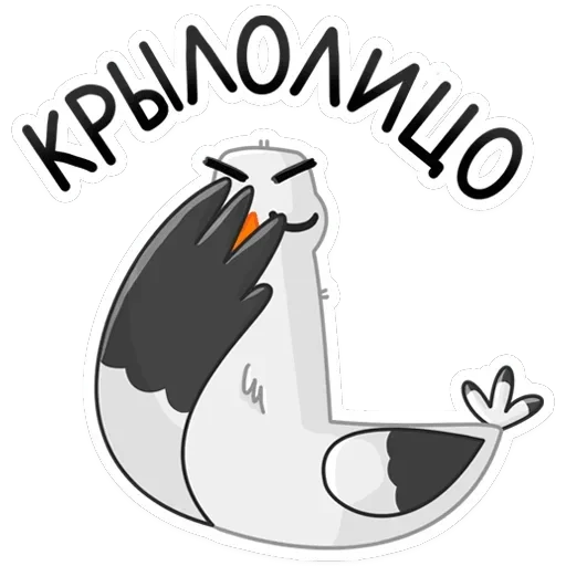 Чайка Сэм — 40