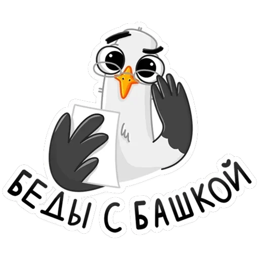 Чайка Сэм — 48