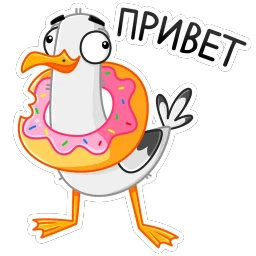 Чайка Сэм