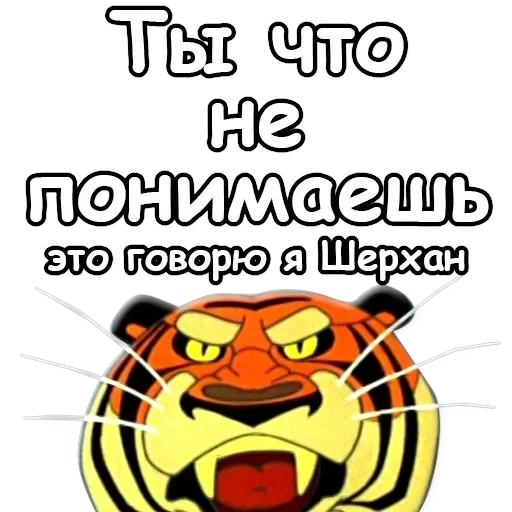 Cheetah — 11