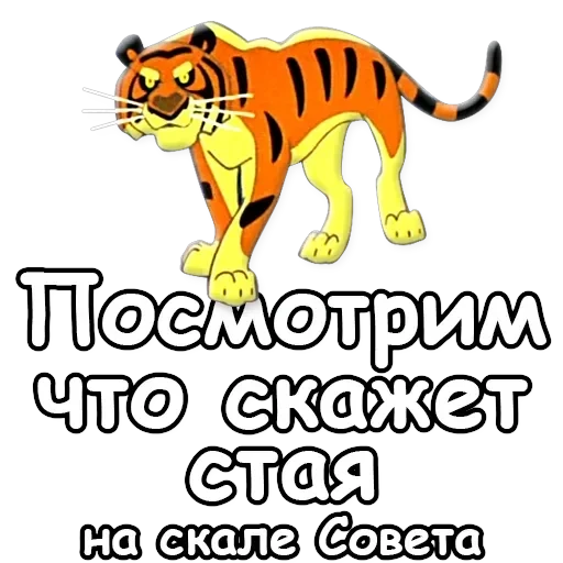Cheetah — 20
