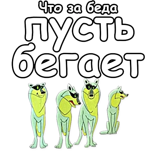 Cheetah — 35