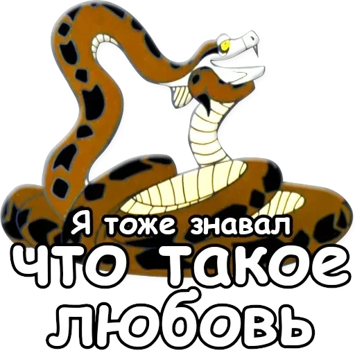 Cheetah — 59