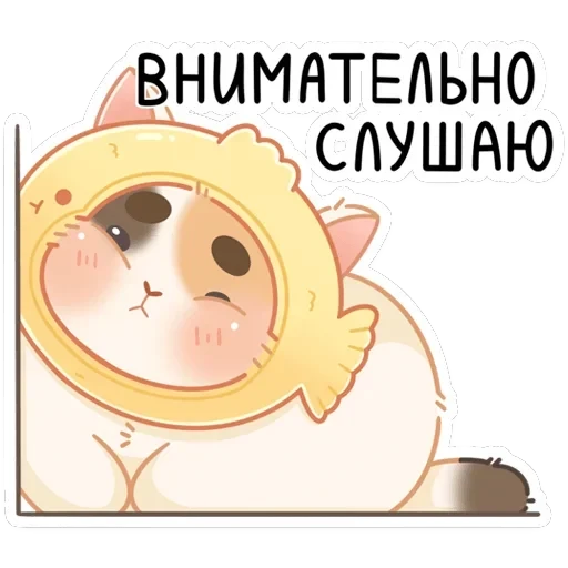 Чиз — 13