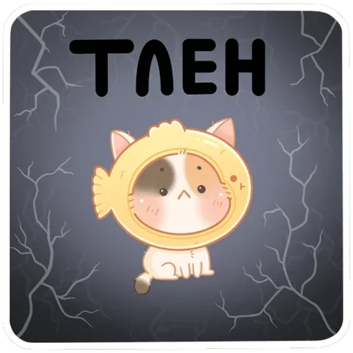 Чиз — 24