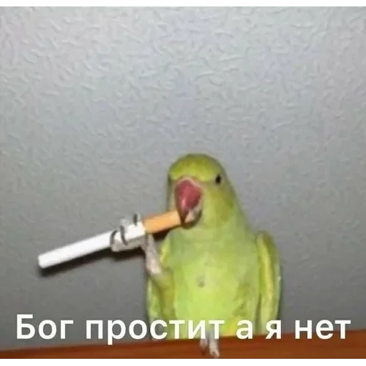 чмок💋 — 24